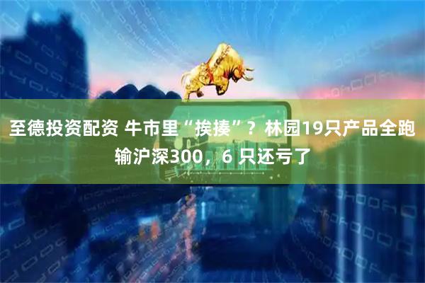至德投资配资 牛市里“挨揍”？林园19只产品全跑输沪深300，6 只还亏了